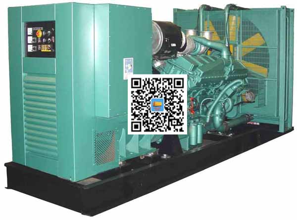 临渭笼型异步发电机的电力电子控制技术