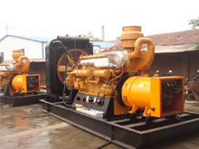 临渭发电机组的频率规格是如何确定的？